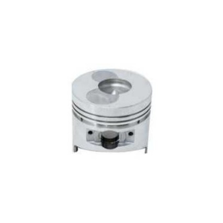 COMPLETE PISTONS - first series with CONICAL DIFFUSER D70.03.01200BC ZDM 70 | Newgardenstore.eu
