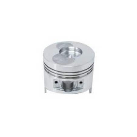 COMPLETE PISTONS - first series with CONICAL DIFFUSER D78.03.02020C ZDM 78 | Newgardenstore.eu