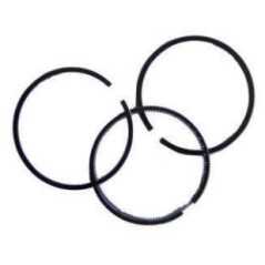 SEGMENT SERIES D70.03.01403 YANMAR L48 ZANETTI ZDM 70 | Newgardenstore.eu