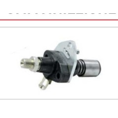 BOMBA DE INYECCIÓN D86.04.04700 ZDM 86 | Newgardenstore.eu