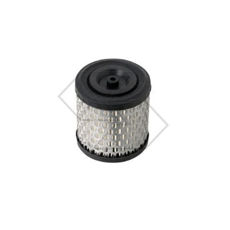 Luftfilter für BRIGGS & STRATTON Rasenmähermotor 396424 | Newgardenstore.eu