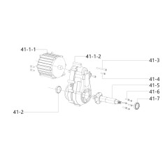 Elektromotor DX 5010900232100 Original Blue Bird | Newgardenstore.eu