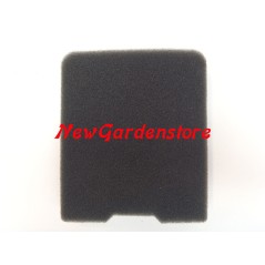 Air filter for chainsaw TGL4600-THB2510 TAS-TANAKA 446-0634C-20 191905 | Newgardenstore.eu