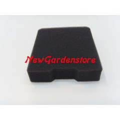 Filtre à air pour tronçonneuse TGL4600-THB2510 TAS-TANAKA 446-0634C-20 191905 | Newgardenstore.eu