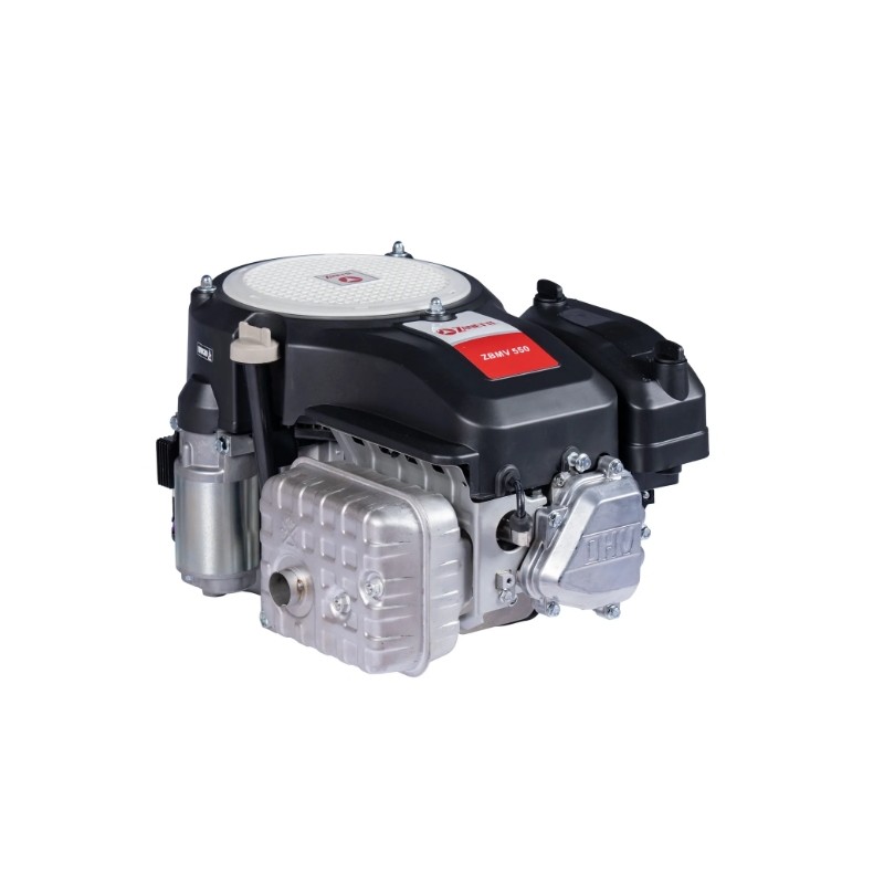 Complete petrol engine ZANETTI ZBMV550L8 vertical shaft 25x80 tractor