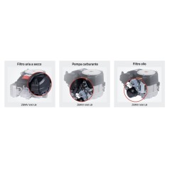 Complete petrol engine ZANETTI ZBMV550L8 vertical shaft 25x80 tractor | Newgardenstore.eu