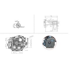 Complete petrol engine ZANETTI ZBMV550L8 vertical shaft 25x80 tractor | Newgardenstore.eu