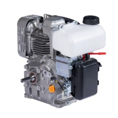 ZANETTI ZEN130L1 moteur à essence complet ZANETTI ZEN130L1 arbre Ã˜ 15 | Newgardenstore.eu