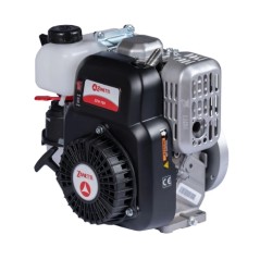 Motor cortacésped gasolina completo ZANETTI ZEN150C1M 149cc filtro de aire baño de aceite | Newgardenstore.eu