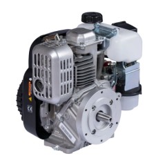 Kompletter Benzin-Rasenmähermotor ZANETTI ZEN150C1M 149cc Luftfilter Ölbad | Newgardenstore.eu