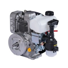 Motor cortacésped gasolina completo ZANETTI ZEN150C1M 149cc filtro de aire baño de aceite | Newgardenstore.eu