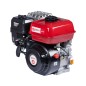 Complete engine ZANETTI HBM200L2V 196cc horizontal 19.05mm self-winding