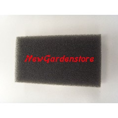 Filtre à air pour série F LAWN BOY 198604 tracteur tondeuse tondeuse | Newgardenstore.eu