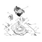 73221 - ORIGINAL AMA PLATE LIFT FEDER