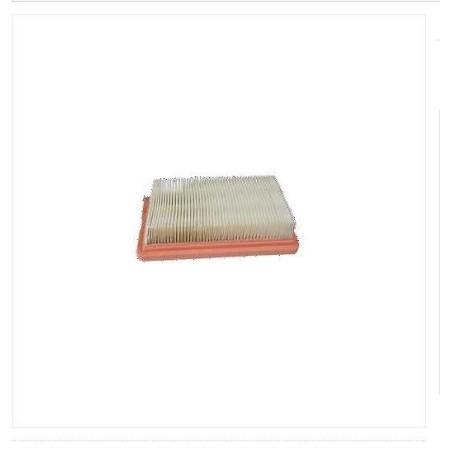 Filtro aria soffiatore BV 162 BV 163 OLEOMAC atomizzatore AM 162 AM163 56520025R | Newgardenstore.eu