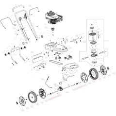 101360 - POLEA DE MOTOR AMA ORIGINAL | Newgardenstore.eu