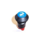 55635 - Interruptor pulsador PNEUTRON azul, símbolo de elevador hacia abajo ORIGINAL AMA
