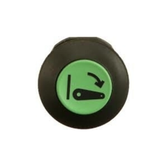 55639 - Interruttore a pulsante PNEUTRON verde, simbolo sollevatore alzato parte sx ORIGINALE AMA | Newgardenstore.eu