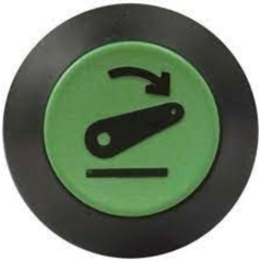 55643 - Interruttore a pulsante PNEUTRON verde, simbolo sollevatore abbassato parte dx ORIGINALE AMA | Newgardenstore.eu