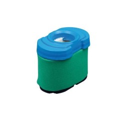 Filtre à air tondeuse compatible BRIGGS & STRATTON 407777, 445577, 445677 | Newgardenstore.eu