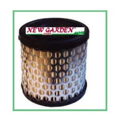 Filtro de aire cortacésped 2 y 5 CV BRIGGS STRATTON 396424 192043 ORIGINAL | Newgardenstore.eu