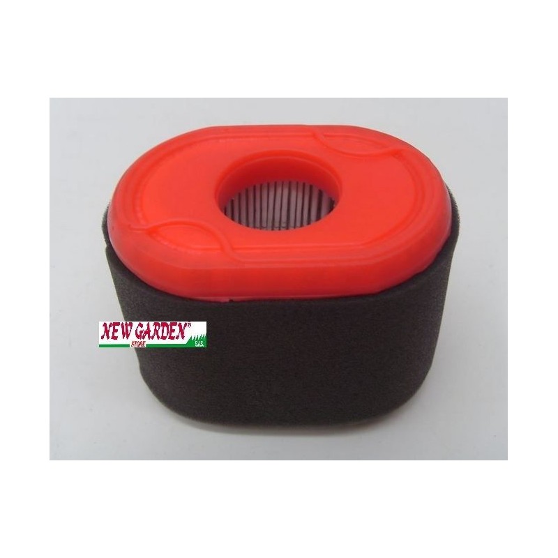 Filtre à air pour tondeuse à gazon 796970 BRIGGS&STRATTON 192028 550 series