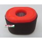 Filtro aria rasaerba tagliaerba tosaerba 796970 BRIGGS&STRATTON 192028 serie 550