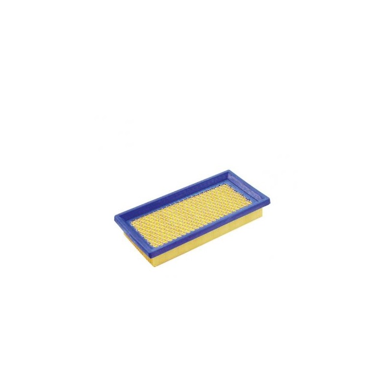 Filtro aria rasaerba tagliaerba tosaerba BRIGGS & STRATTON 126302-0779-H8