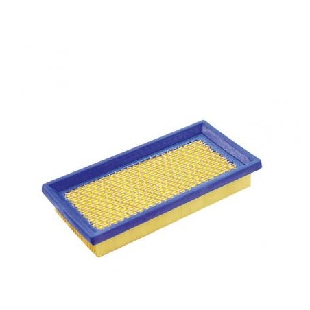 Filtre à air pour tondeuse à gazon BRIGGS & STRATTON 126302-0779-H8 | Newgardenstore.eu