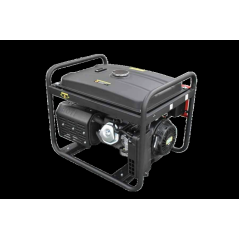 89428 - ORIGINAL AMA 8Kw three-phase generator | Newgardenstore.eu