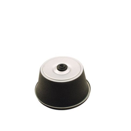 Filtre à air tracteur de pelouse tondeuse compatible HONDA 17210-883-505 | Newgardenstore.eu