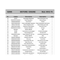 RMG75410410000 - ORIGINAL AMA MVGT6 CARBURETOR | Newgardenstore.eu