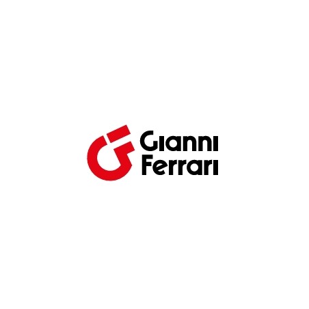 Weight kit for GIANNI FERRARI GTS CWH100 92105 professional lawn tractor | Newgardenstore.eu