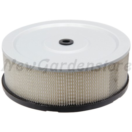 Filtro aria tagliaerba tosaerba rasaerba compatibile ROBIN 0187-6068 | Newgardenstore.eu