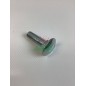 Vite decespugliatore ORIGINALE OLEOMAC BCF540 BCF550 3910029R