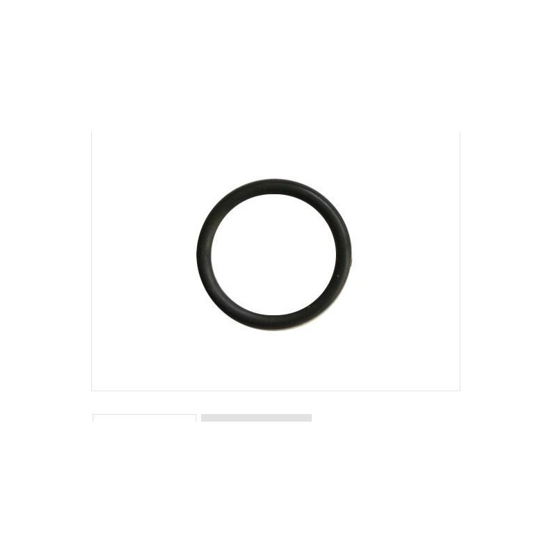 Anello tenuta collettore aspirazione rasaerba BRIGGS 270344 quantum carburatore
