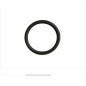 Anello tenuta collettore aspirazione rasaerba BRIGGS 270344 quantum carburatore