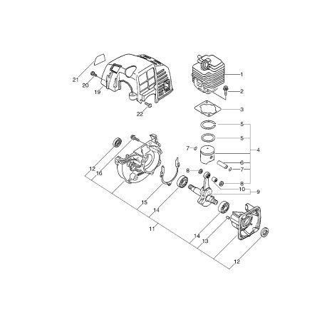 ÉTIQUETTE ECHO ORIGINALE ECRX543000370 | Newgardenstore.eu
