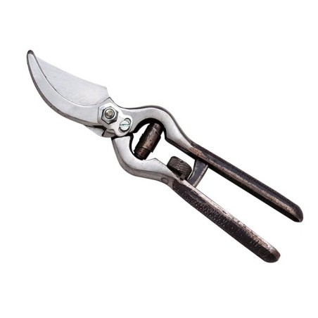 Pruning shears ideal for vineyards 23 cm | Newgardenstore.eu