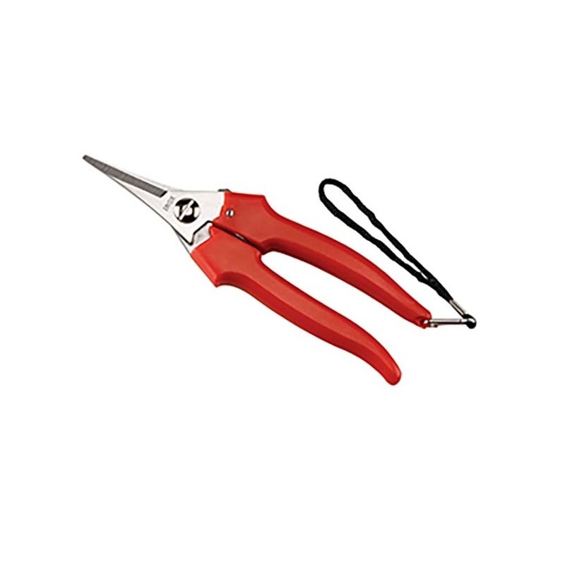 Ideal scissor for harvesting harvesting pruning shaving