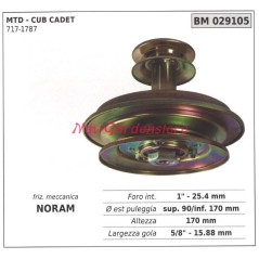 Embrayage mécanique NORAM tondeuse mtd cub cadet 029105 | Newgardenstore.eu