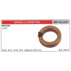 BRIGGS&STRATTON 16 HP Rasentraktor Vergaserschwimmer 298574