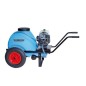 Gruppo irrorante TECNOSPRAY C80 motore BRIGGS&STRATTON 3.5 hp 40 bar