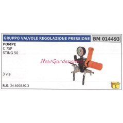 Pressure control valve assembly UNIVERSAL pump Bertolini C 75P 014493 | Newgardenstore.eu