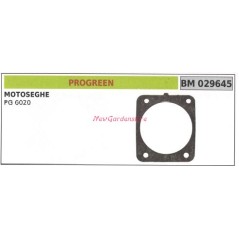 Guarnizione cilindro PROGREEN decespugliatore PG 6020 029645