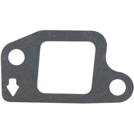 Lawn mower motor thermal spacer gasket 1P75F LONCIN 170430174-0001 | Newgardenstore.eu