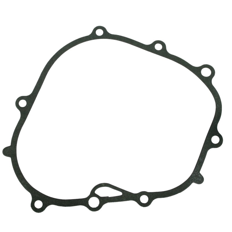 Gasket flange engine lawn mower T100 NGP lawn mower V6-30-001-000