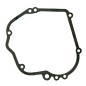 Quantum 35 lawn tractor engine flange gasket BRIGGS & STRATTON 271903