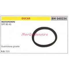 DUCAR Motor Pump DPT 80-AS impeller gasket 040234 | Newgardenstore.eu