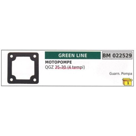 Gasket GREENLINE motor pump QGZ 25 30 4-STROKE 022529 | Newgardenstore.eu